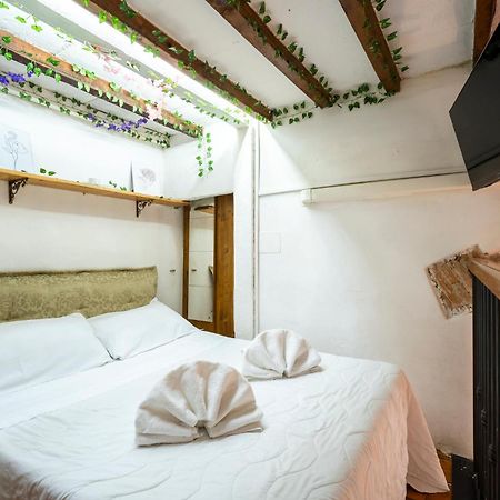 3 - Monolocale Caratteristico E Silenzioso Apartment Florence Ngoại thất bức ảnh
